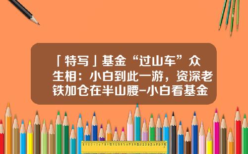 「特写」基金“过山车”众生相：小白到此一游，资深老铁加仓在半山腰-小白看基金.