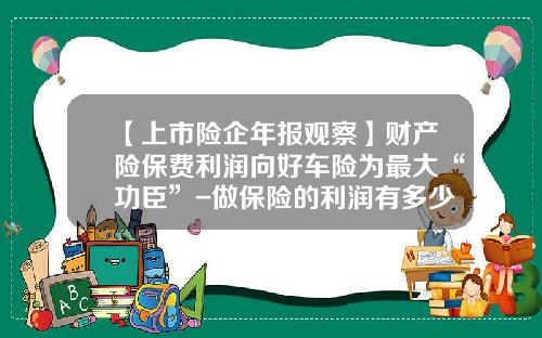 【上市险企年报观察】财产险保费利润向好车险为最大“功臣”-做保险的利润有多少.