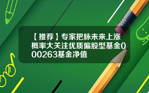 【推荐】专家把脉未来上涨概率大关注优质偏股型基金000263基金净值