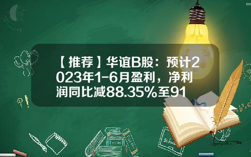 【推荐】华谊B股：预计2023年1-6月盈利，净利润同比减88.35%至91.26%-b股有多少