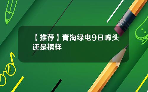 【推荐】青海绿电9日噱头还是榜样