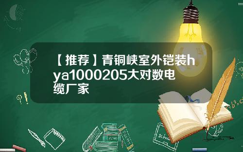 【推荐】青铜峡室外铠装hya1000205大对数电缆厂家