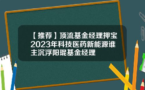 【推荐】顶流基金经理押宝2023年科技医药新能源谁主沉浮阳琨基金经理