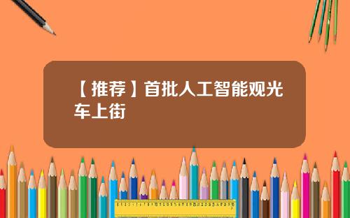 【推荐】首批人工智能观光车上街