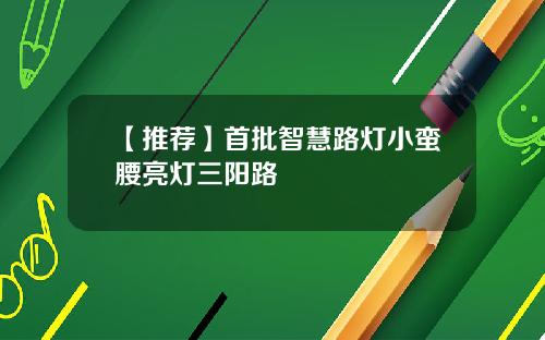 【推荐】首批智慧路灯小蛮腰亮灯三阳路