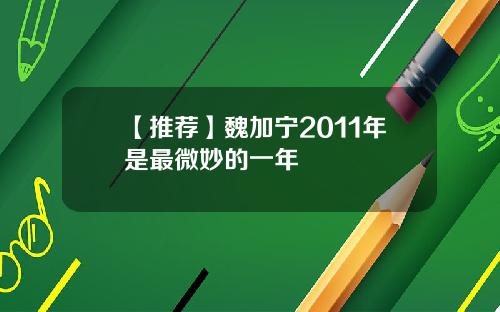 【推荐】魏加宁2011年是最微妙的一年