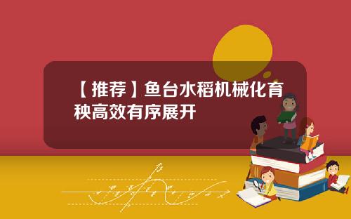 【推荐】鱼台水稻机械化育秧高效有序展开