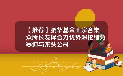 【推荐】鹏华基金王宗合集众所长发挥合力优势深挖细分赛道与龙头公司