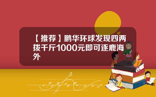 【推荐】鹏华环球发现四两拨千斤1000元即可逐鹿海外