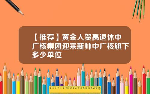 【推荐】黄金人贺禹退休中广核集团迎来新帅中广核旗下多少单位