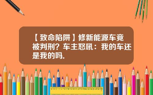 【致命陷阱】修新能源车竟被判刑？车主怒吼：我的车还是我的吗.