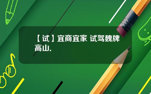 【试】宜商宜家 试驾魏牌高山.