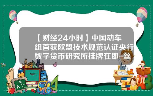 【财经24小时】中国动车组首获欧盟技术规范认证央行数字货币研究所挂牌在即-丝路基金狄刚.