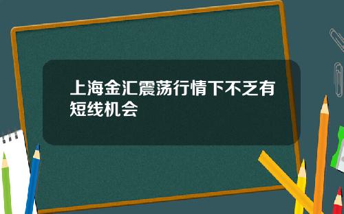 上海金汇震荡行情下不乏有短线机会