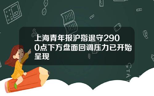 上海青年报沪指退守2900点下方盘面回调压力已开始呈现