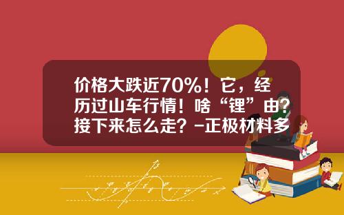价格大跌近70%！它，经历过山车行情！啥“锂”由？接下来怎么走？-正极材料多少钱一吨【新闻】.