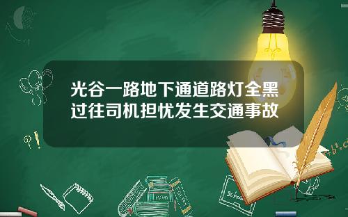 光谷一路地下通道路灯全黑过往司机担忧发生交通事故
