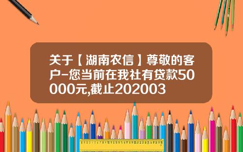 关于【湖南农信】尊敬的客户-您当前在我社有贷款50000元,截止20200321应还金额133？的一些相关词条