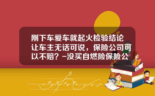 刚下车爱车就起火检验结论让车主无话可说，保险公司可以不赔？-没买自燃险保险公司赔吗【新闻】.