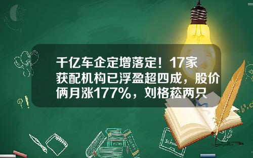 千亿车企定增落定！17家获配机构已浮盈超四成，股价俩月涨177%，刘格菘两只基金重仓-周转基金