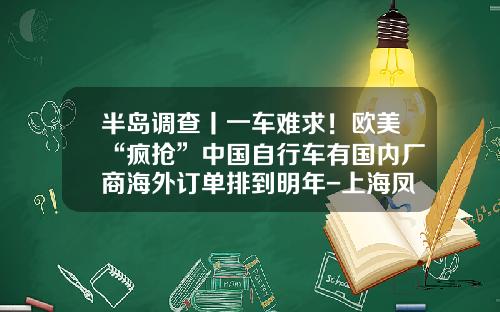 半岛调查丨一车难求！欧美“疯抢”中国自行车有国内厂商海外订单排到明年-上海凤凰进出口有限公司