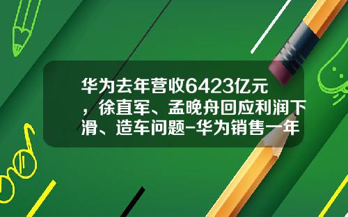 华为去年营收6423亿元，徐直军、孟晚舟回应利润下滑、造车问题-华为销售一年多少