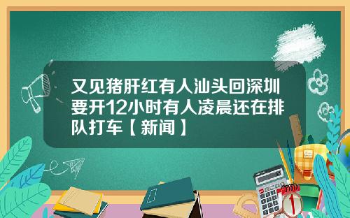 又见猪肝红有人汕头回深圳要开12小时有人凌晨还在排队打车【新闻】