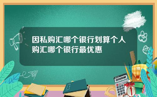 因私购汇哪个银行划算个人购汇哪个银行最优惠