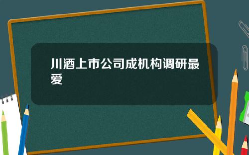 川酒上市公司成机构调研最爱