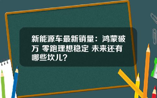 新能源车最新销量：鸿蒙破万 零跑理想稳定 未来还有哪些坎儿？