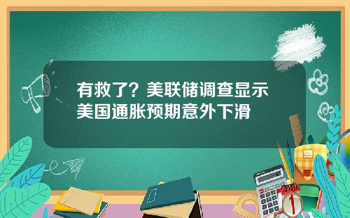 有救了？美联储调查显示 美国通胀预期意外下滑
