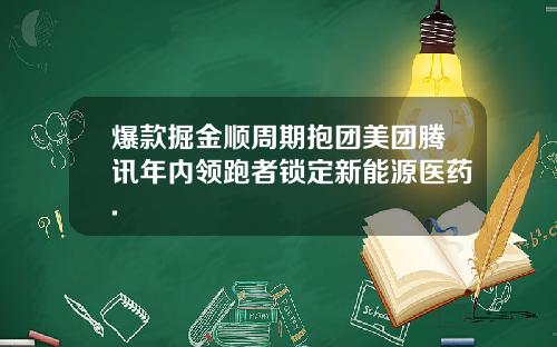 爆款掘金顺周期抱团美团腾讯年内领跑者锁定新能源医药.