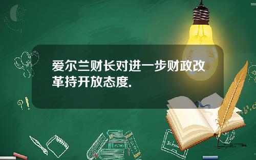 爱尔兰财长对进一步财政改革持开放态度.