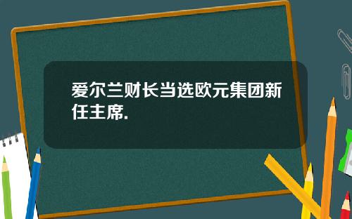 爱尔兰财长当选欧元集团新任主席.