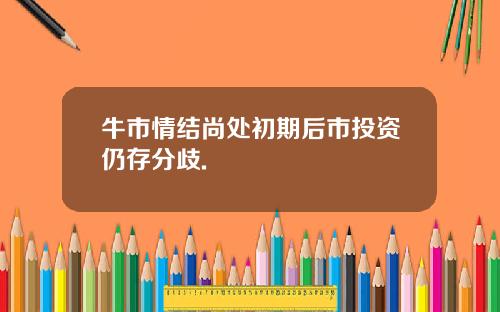 牛市情结尚处初期后市投资仍存分歧.