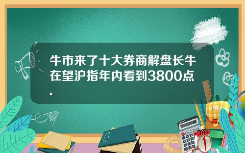 牛市来了十大券商解盘长牛在望沪指年内看到3800点.