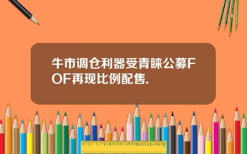 牛市调仓利器受青睐公募FOF再现比例配售.