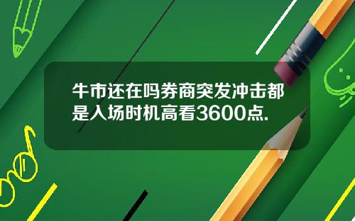 牛市还在吗券商突发冲击都是入场时机高看3600点.
