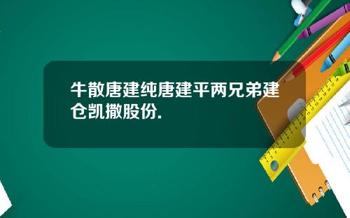 牛散唐建纯唐建平两兄弟建仓凯撒股份.