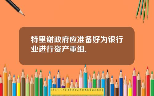 特里谢政府应准备好为银行业进行资产重组.