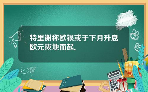 特里谢称欧银或于下月升息欧元拔地而起.