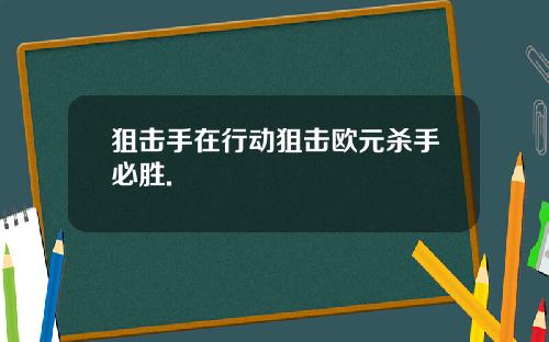 狙击手在行动狙击欧元杀手必胜.