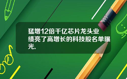 猛增12倍千亿芯片龙头业绩亮了高增长的科技股名单曝光.