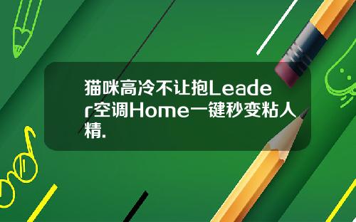 猫咪高冷不让抱Leader空调Home一键秒变粘人精.