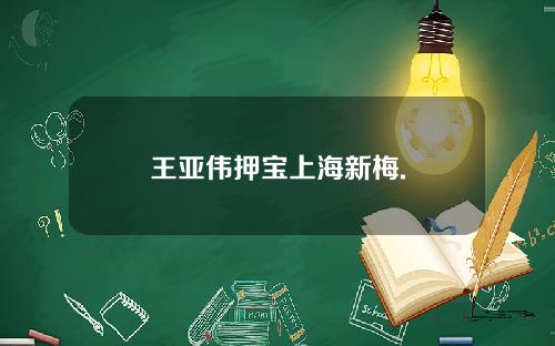 王亚伟押宝上海新梅.