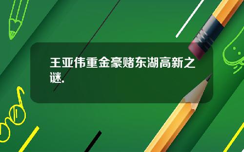 王亚伟重金豪赌东湖高新之谜.