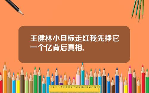 王健林小目标走红我先挣它一个亿背后真相.