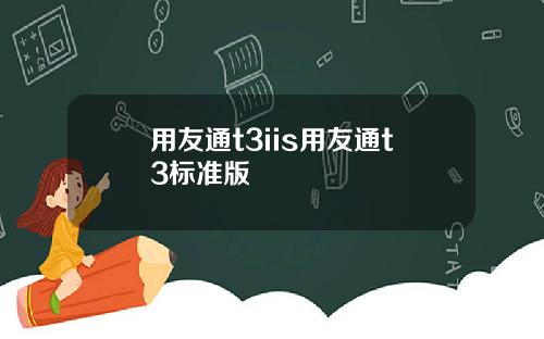 用友通t3iis用友通t3标准版