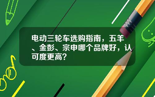 电动三轮车选购指南，五羊、金彭、宗申哪个品牌好，认可度更高？