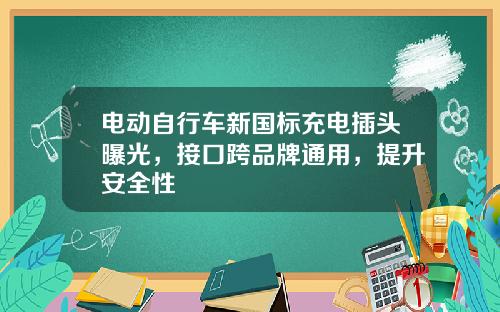 电动自行车新国标充电插头曝光，接口跨品牌通用，提升安全性